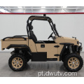 800cc 4 * 4 2 lugares UTV